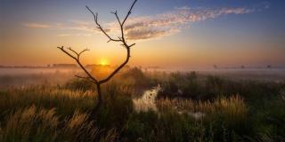 Naturschutzgebiet Großes Torfmoor zwischen Minden und Lübbecke. Foto: Kai Hormann